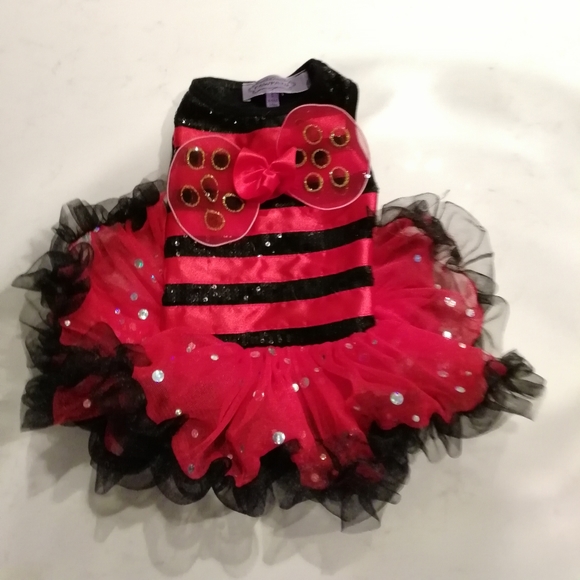 Dog ladybug custom - Picture 1 of 4